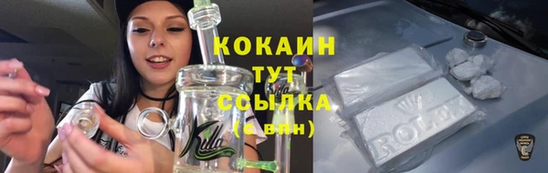 молекула духа Зерноград