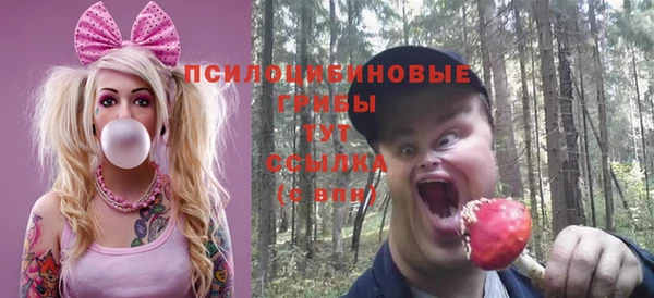 молекула духа Зерноград