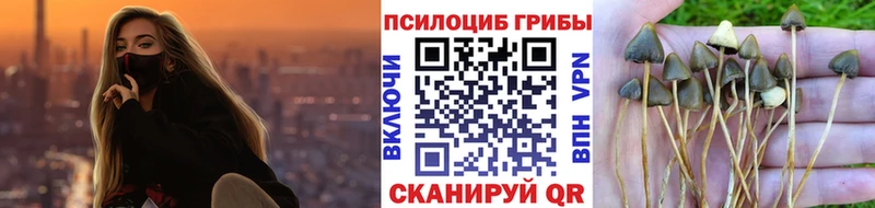 Псилоцибиновые грибы Cubensis  наркотики  Каспийск 