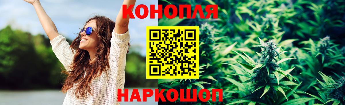Бошки марихуана тримм  Вход с VPN  Бошки марихуана план  МАРИХУАНА индика  Каспийск 